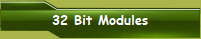 32 Bit Modules