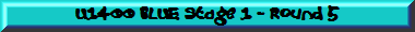 U1400 BLUE Stage 1 - Round 5