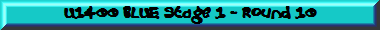 U1400 BLUE Stage 1 - Round 10