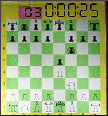 Excalibur LCD King Master screen closeup - Picture taken from computer