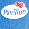 Pavilion Electronic Chess Computer Collection
